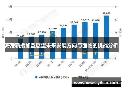海港新援加盟展望未来发展方向与面临的挑战分析